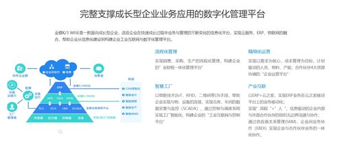 濰坊金蝶 企業管理與辦公軟件的研發先鋒